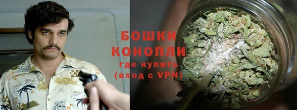 экстази Богданович