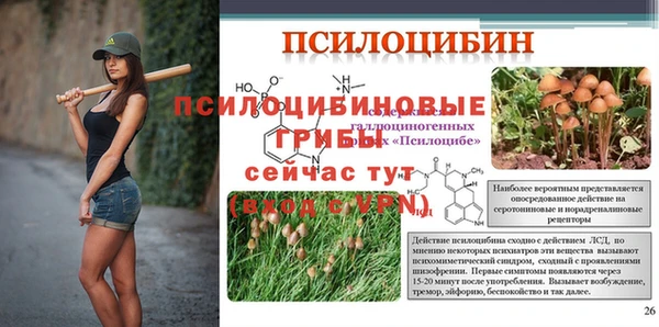 mdpv Баксан