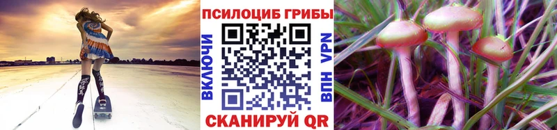 Псилоцибиновые грибы MAGIC MUSHROOMS  Узловая 